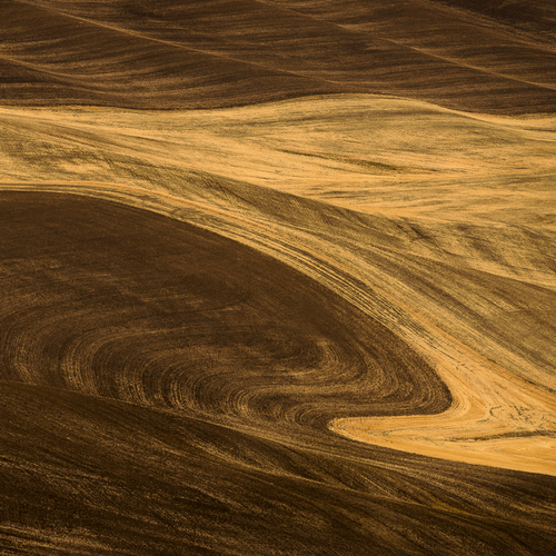 Palouse Patterns