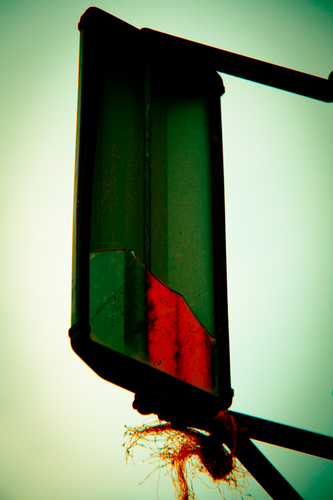 A Moment's Reflection