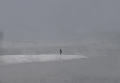 In and Out of the Mist
