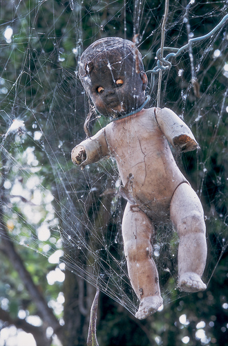 Web of Life