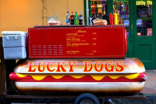 Lucky Dogs