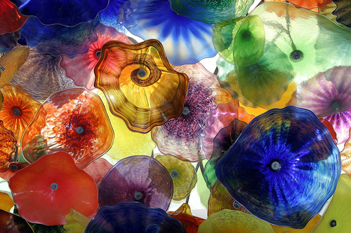 Fiori di Como