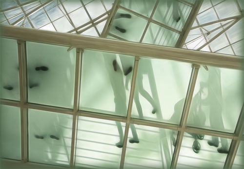 Glass Steps