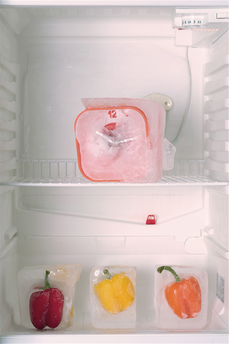 Frozen In Time