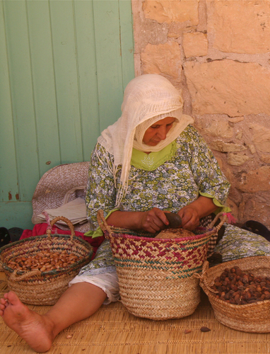 The Women's Co-operative