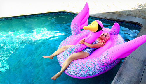 Pool Swan