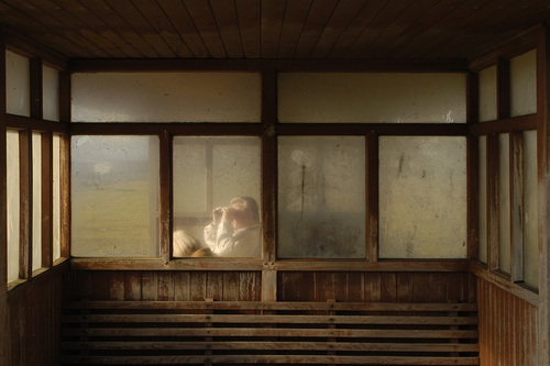 shelter 3