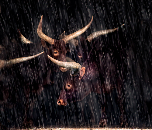 A Refuge in the Hail