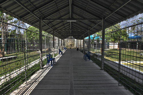 Cage