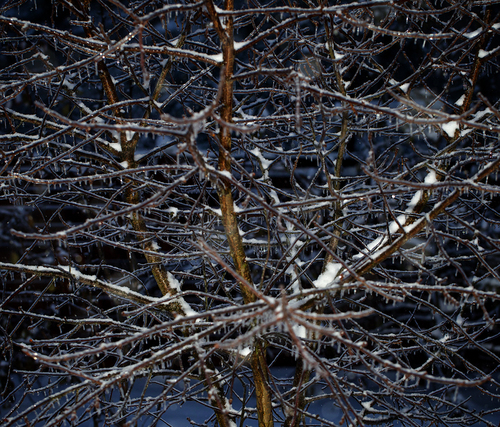 Frozen