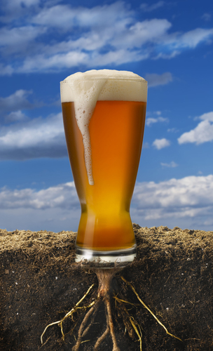 Home Grown Beer