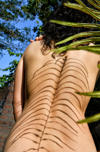 Sun shade