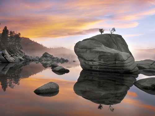 Sunset, Bonsai Rock