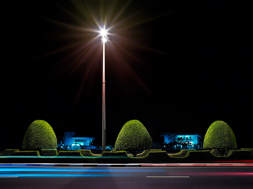 lightmotion trees