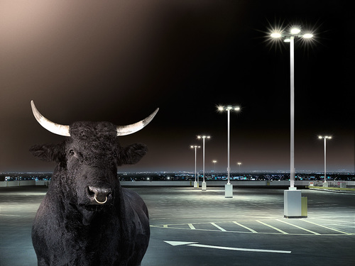 Bullparking