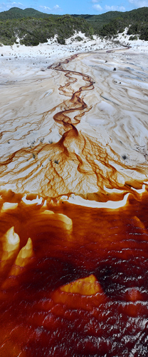 Arterial
