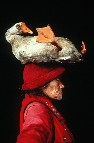 Goose Lady