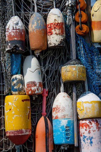 bouys