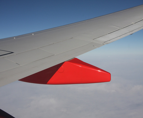 Vivid Wing