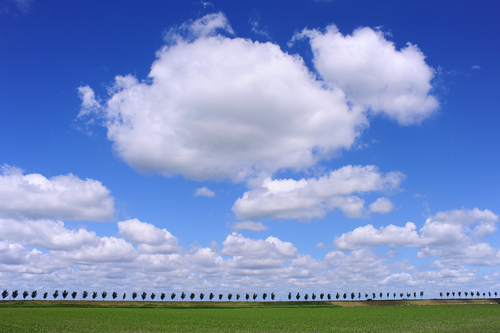 dutch sky