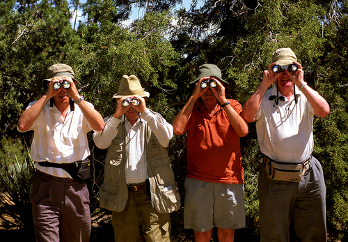 Birders