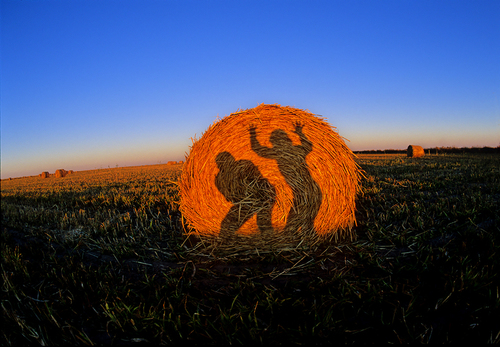 Hay You!