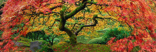 Autumn Spirit