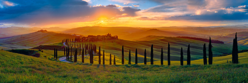 Tuscan Dreams