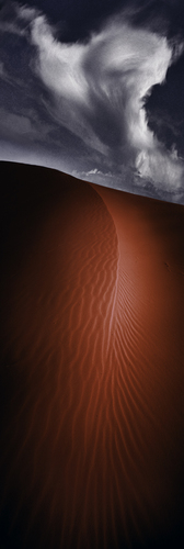 Dunescape