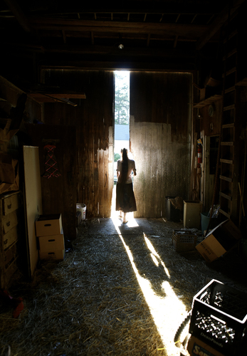 Farmers Daughter
