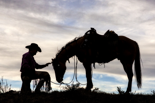 The Horse Whisperer