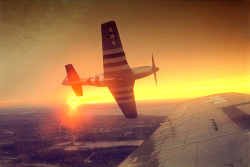 Mustang Roll