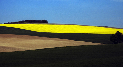 Colsa field from TGV