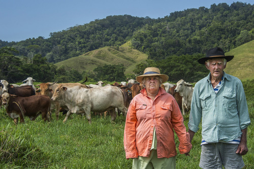 Cattle Farmers