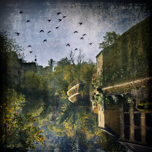 Reflectopia