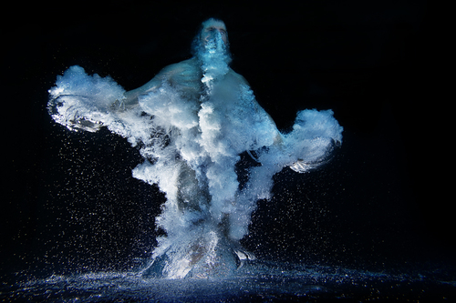 Army Diver