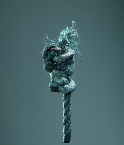 Washed Up Rope 02
