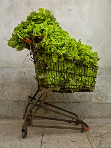 fresh like a lettuce