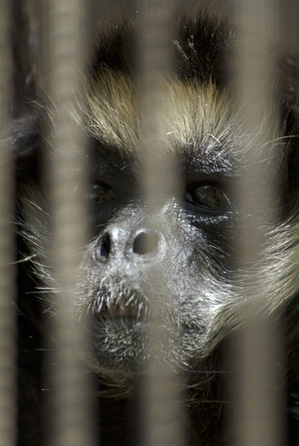 Beyond The Bars