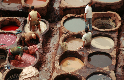 The Dyeing Fields