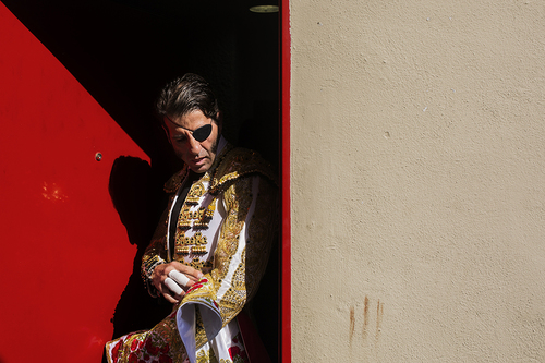 Spanish Bullfighter