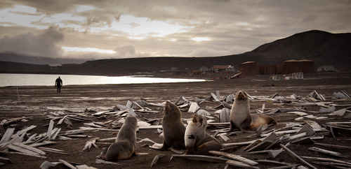 Alone... Deception Island, Antarctica