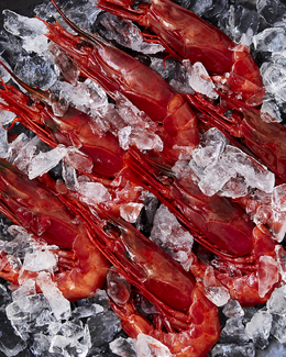 Color Awards Winners and Nominees