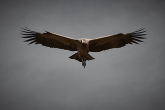 Color Awards Winners and Nominees