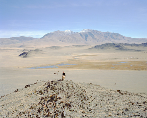 Golden Eagle Hunter 5