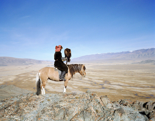 Golden Eagle Hunter 3
