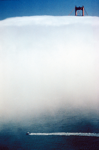 Summer Fog