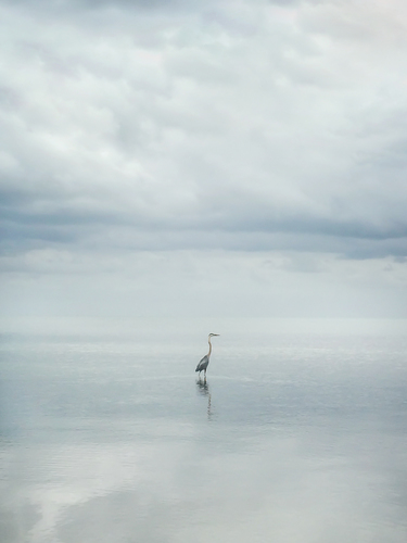 Quiet