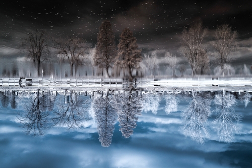 Dreaming