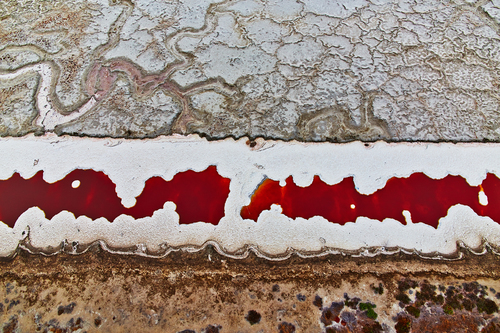 Salt Flat 4
